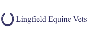 Lingfield Equine