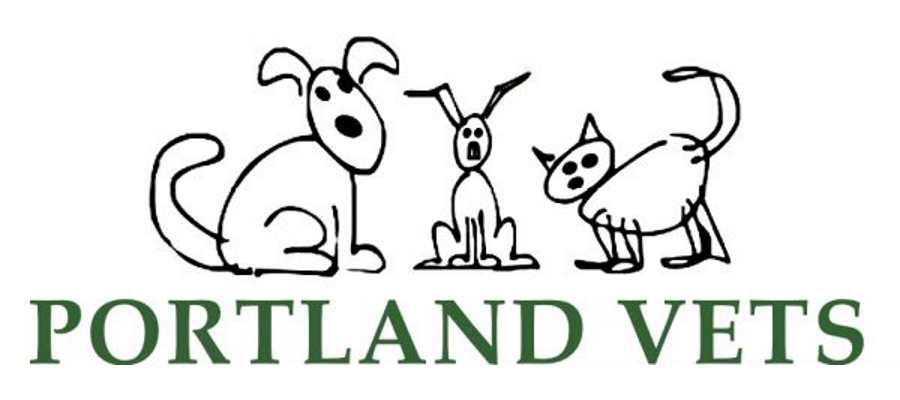 Portland Vets